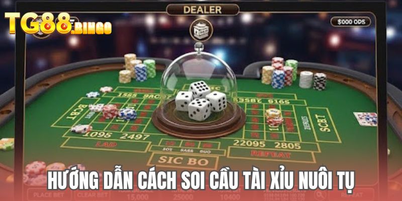 Hướng dẫn cách soi cầu tài xỉu nuôi tụ